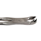 19 Inch Premium Four Prong Molar Forceps