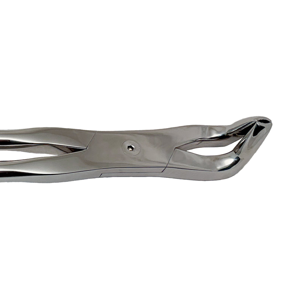 19 Inch Premium Root Fragment Forceps