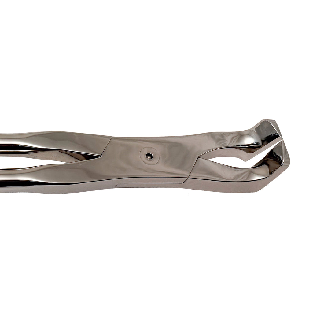 19 Inch Premium Thin Blade Spreader