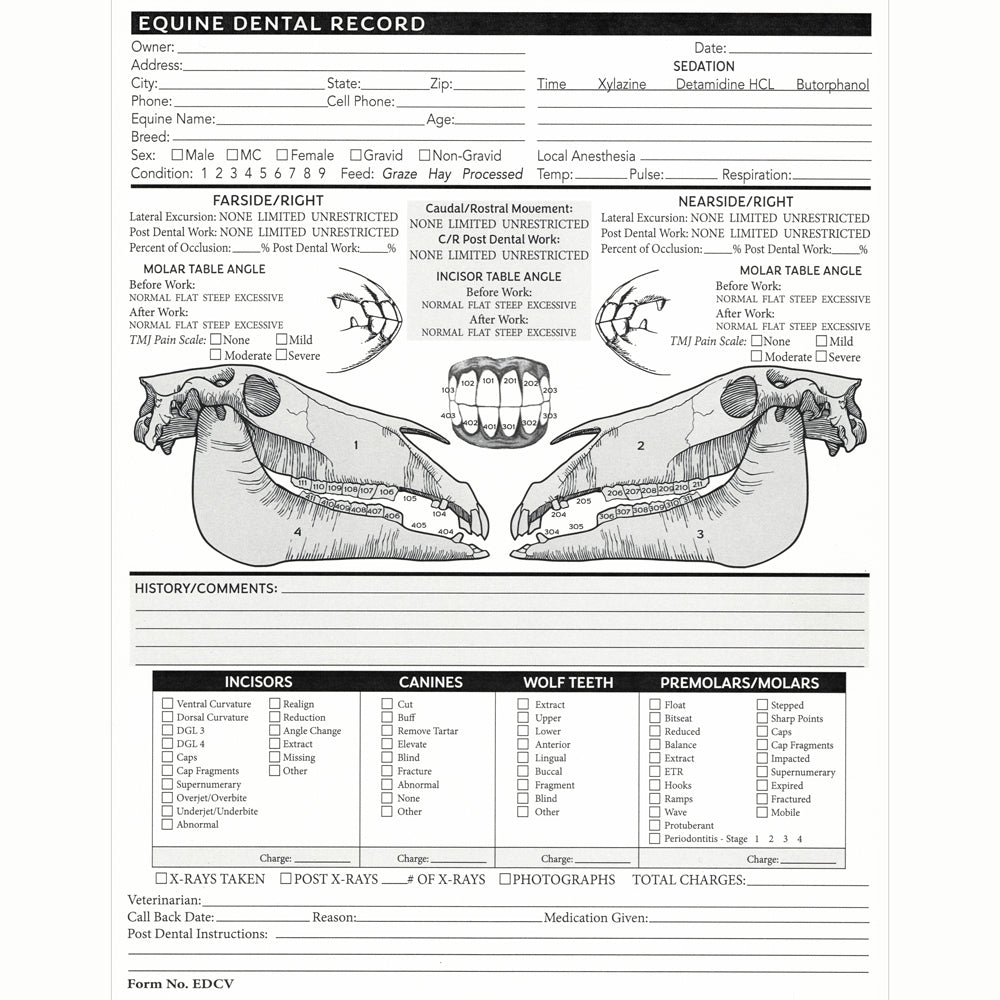 veterinary-equine-dental-chart-capps-manufacturing for Free Printable Canine Dental Record Veterinary Equine Dental Chart – Capps Manufacturing for Free Printable Canine Dental Record
