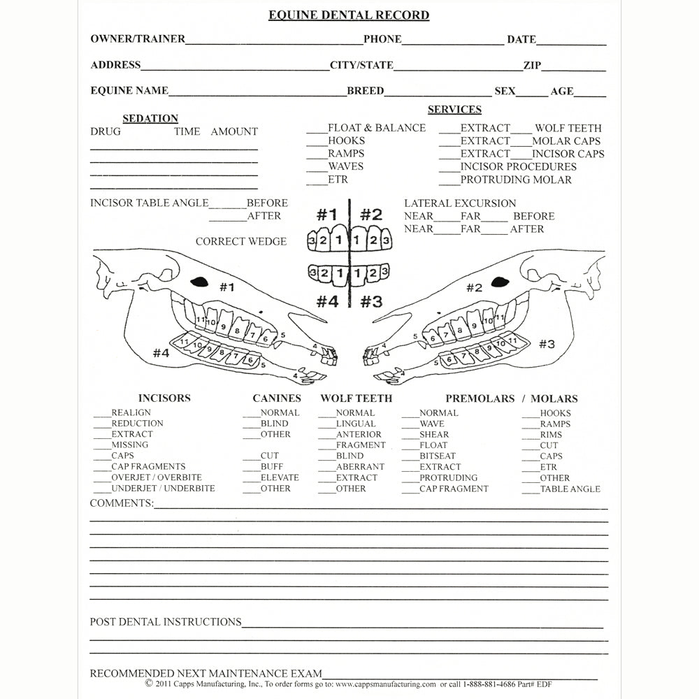 Equine Dental Record Forms Capps Manufacturing